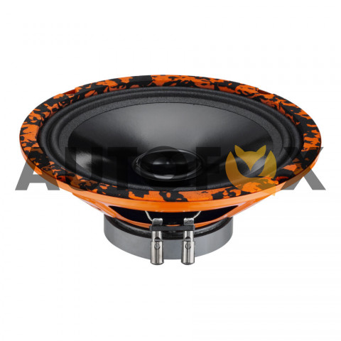 DL Audio Gryphon Lite 200 V.2 (20см RMS-70Вт)